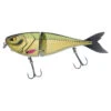 Berkley Zilla Jointed Glider 13,5cm, 44g 1 Berkley Zilla Jointed Glider 13,5cm, 44g -Angelprodukte Geschäft 1531688r 1