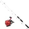 Abu Garcia Abumatic 170 Combo -Angelprodukte Geschäft 1548362 1