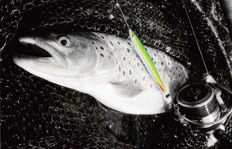 Fladen Silver Chaser 18g 4 Fladen Silver Chaser 18g – Bild 2