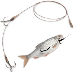 Quantum Mr. Pike Universal Leader Camo 30lb 6 Quantum Mr. Pike Universal Leader Camo 30lb -Angelprodukte Geschäft 22 4272004r 2