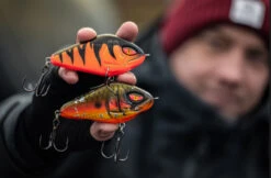 Daiwa PX Lazy Jerk Distance -Angelprodukte Geschäft 32 217457r 3