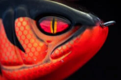 Daiwa PX Lazy Jerk Distance -Angelprodukte Geschäft 32 217457r 4