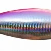 NosyBefisherman Big M15 Popper 150mm, 85g -Angelprodukte Geschäft BIGM1585r 1