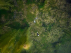 Fox Edges Zig Float Kit 11 Fox Edges Zig Float Kit -Angelprodukte Geschäft CAC753 6