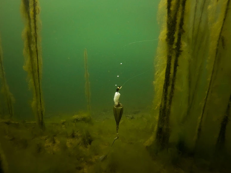 Fox Edges Zig Float Kit 8 Fox Edges Zig Float Kit – Bild 6