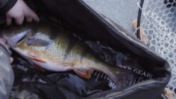 FKP-Gear Perch Station -Angelprodukte Geschäft FKPPERCHSTATION 5