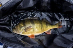 FKP-Gear Perch Station -Angelprodukte Geschäft FKPPERCHSTATION 6