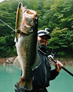 Madness Japan Balam Swimbait -Angelprodukte Geschäft MJPBSIMr 2