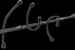 Smith Creek Rod Rack -Angelprodukte Geschäft SC RR 2