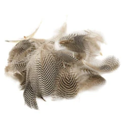 Krickente - Brust- Und Seitenfedern