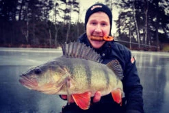 Söder Balanspirk Combo -Angelprodukte Geschäft balanskit1 2